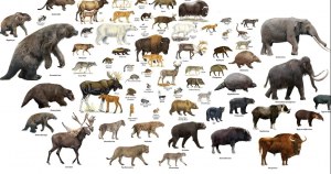 Mammals of North America