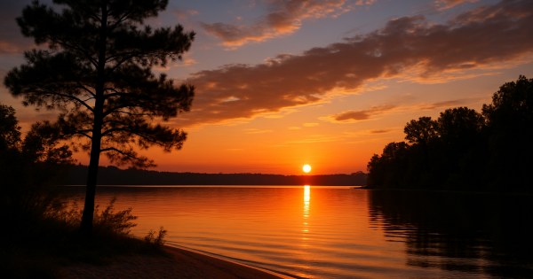 Your ideal version of a perfect evening involves: