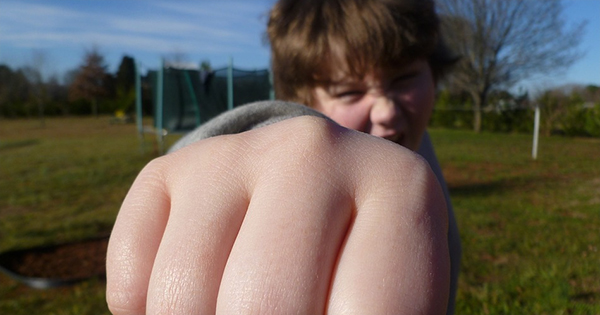 You see a bully picking on someone. Do you...