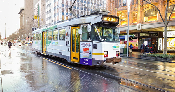 How important is public transportation to you?